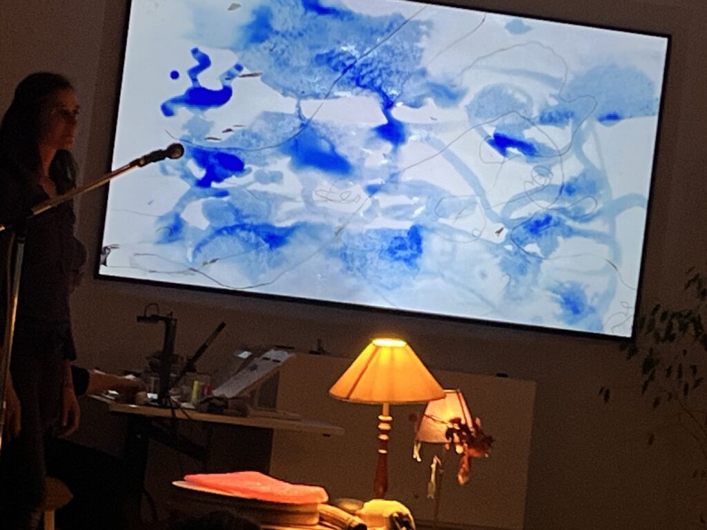 spectacle dessiné